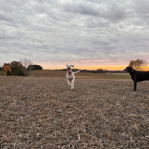 Meet your Posher, Sara - Picture 1 of 1